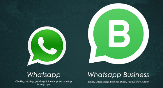 Wajib Tahu! Kelebihan WhatsApp Bisnis dibanding Whatsapp Non Bisnis