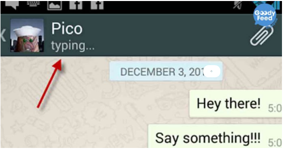 Cara Menyembunyikan Status Sedang Mengetik di WhatsApp